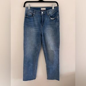 Dry Good’s (Harper) High Rise Straight Jeans
